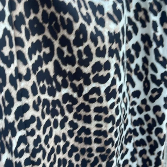 Leopard Print Dress - Picture 4 of 4
